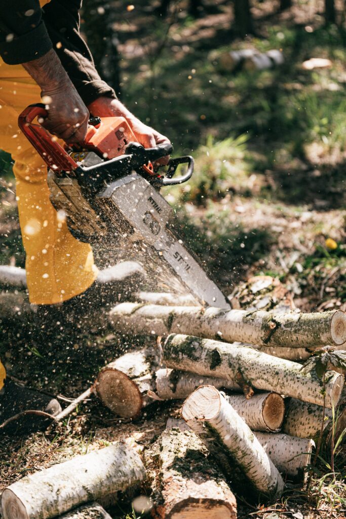 Arborist cutting tree branches with chainsaw