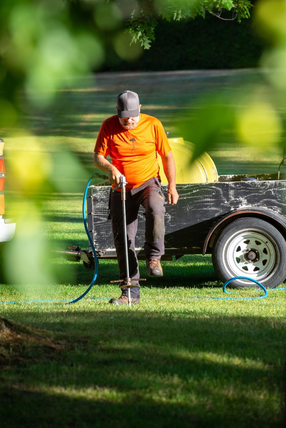 Root aerating by a certified arborist