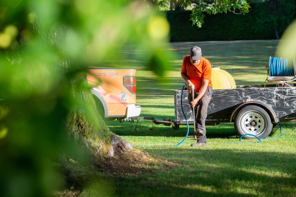 Arborist working on root aeration job