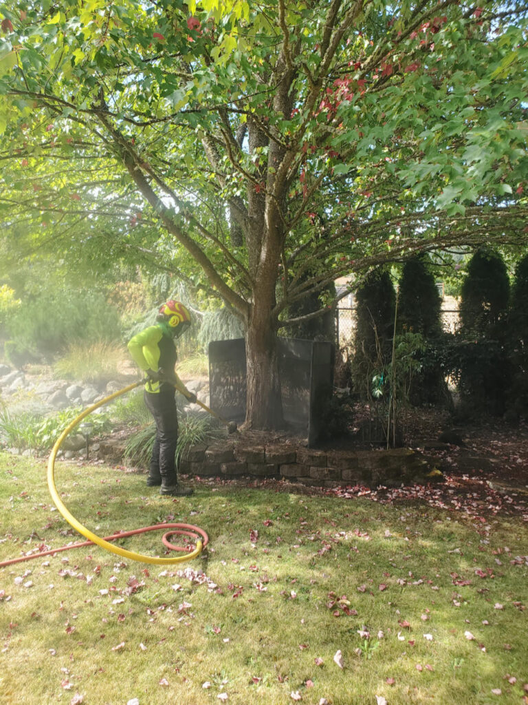Street Tree Planting Guidelines for Grants Pass Siskiyou Tree Experts