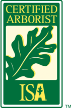 ISA certified arborist