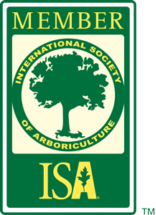 ISA member