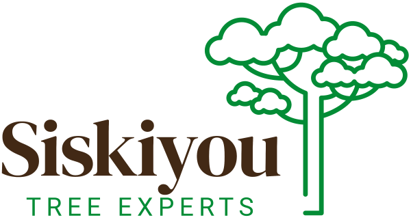 Siskiyou Tree Experts